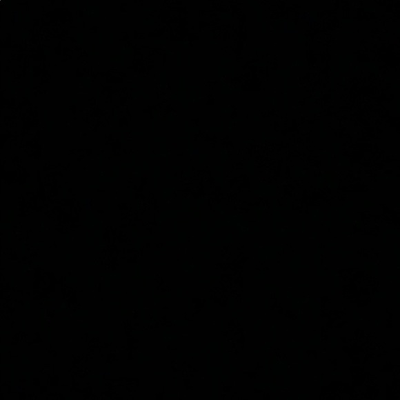 Meet your Posher, Taylor - Picture 1 of 1